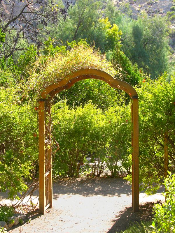 Arbor Replacement in Conroe, TX