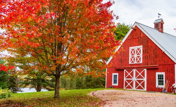 Barn Repair Service